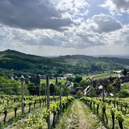 Apartman Schmuckkaestle Sasbachwalden