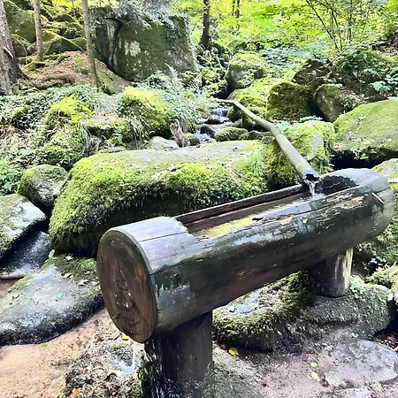 Apartamento Schmuckkaestle *