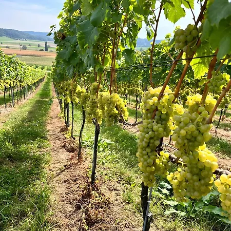 Schmuckkaestle * סאסבאכוואלדן