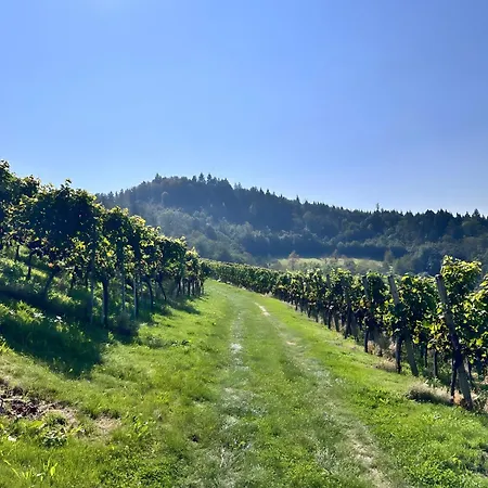 Schmuckkaestle Sasbachwalden