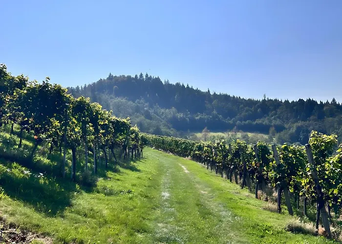 Schmuckkaestle Sasbachwalden